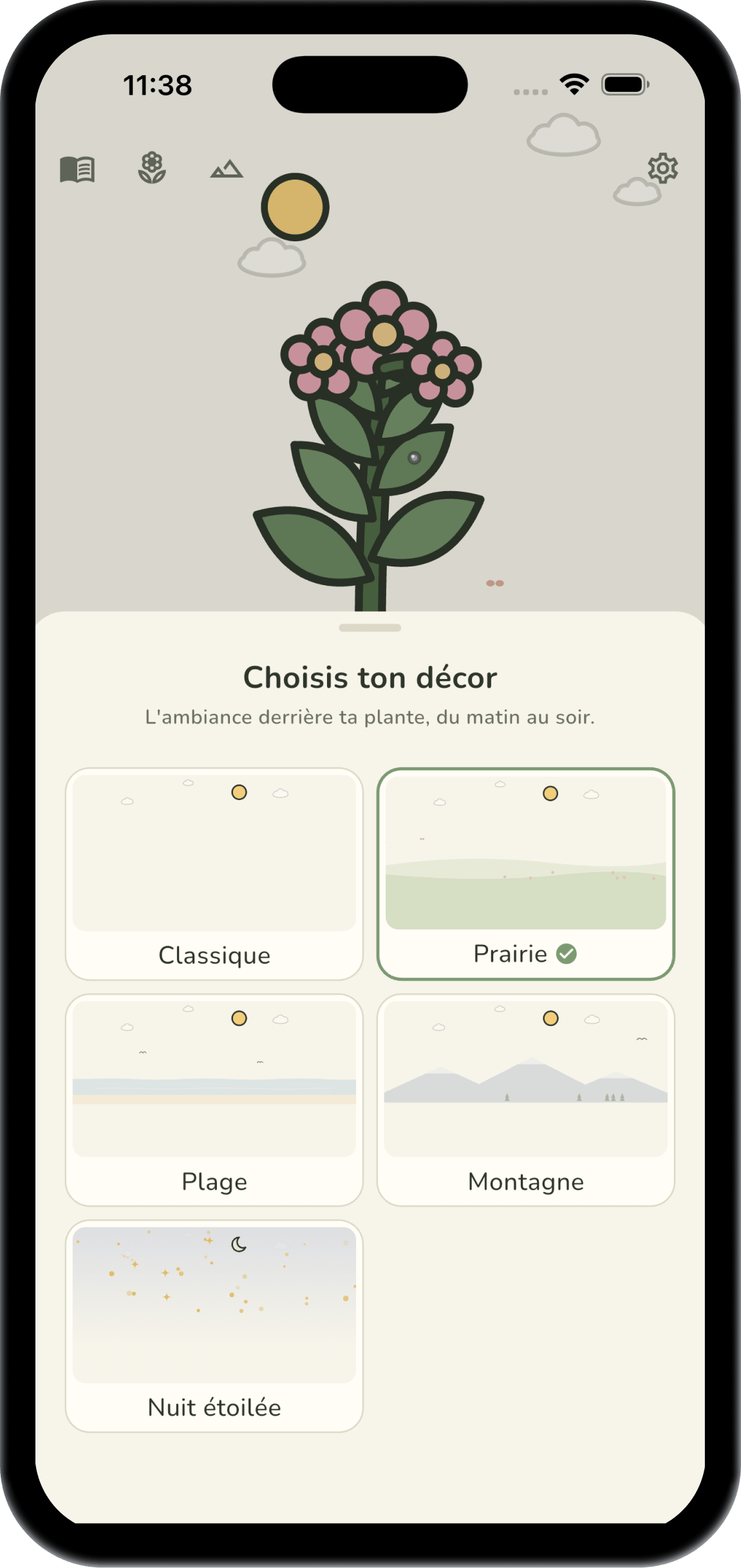 Les décors de Sedum, de jour comme de nuit
