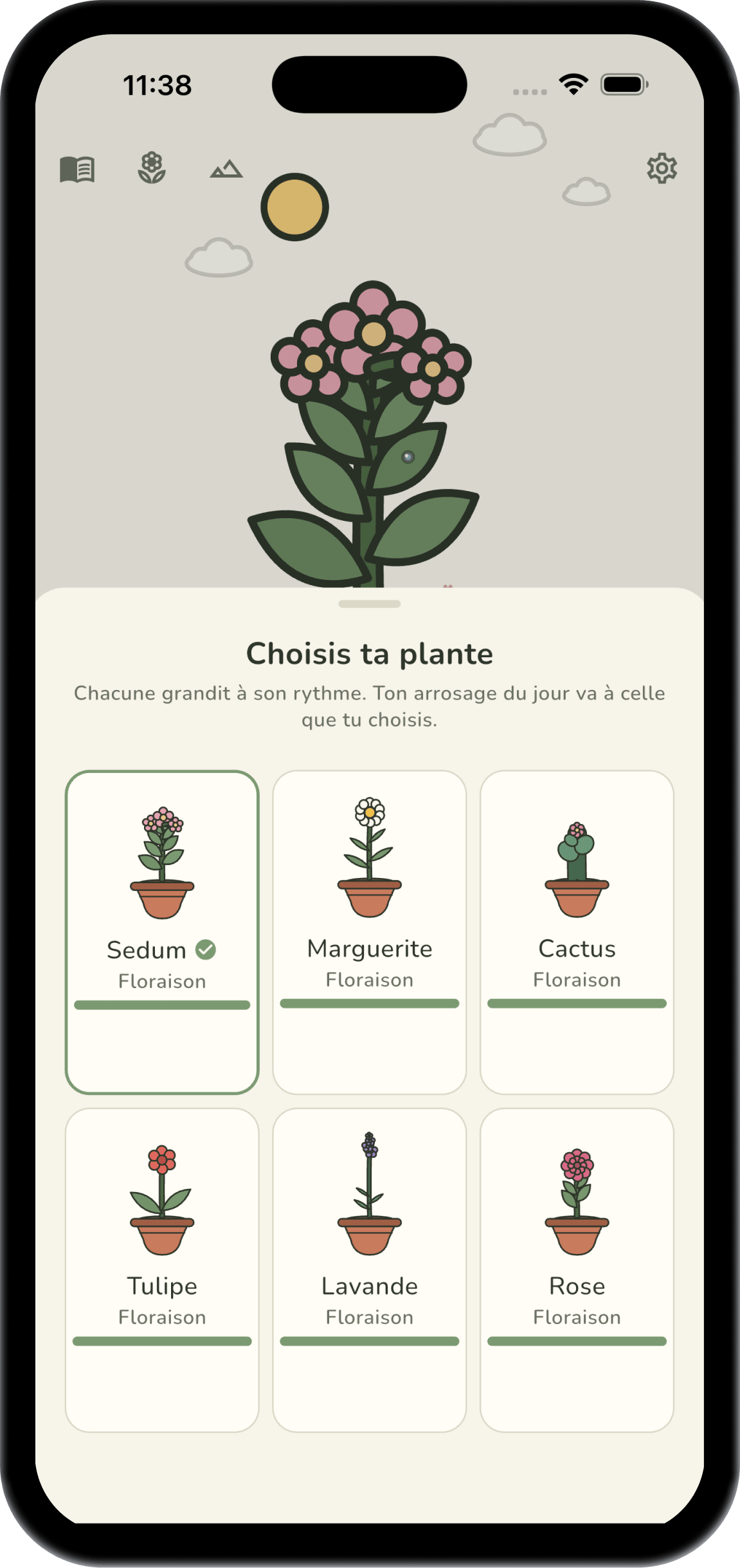 Le choix des plantes dans Sedum