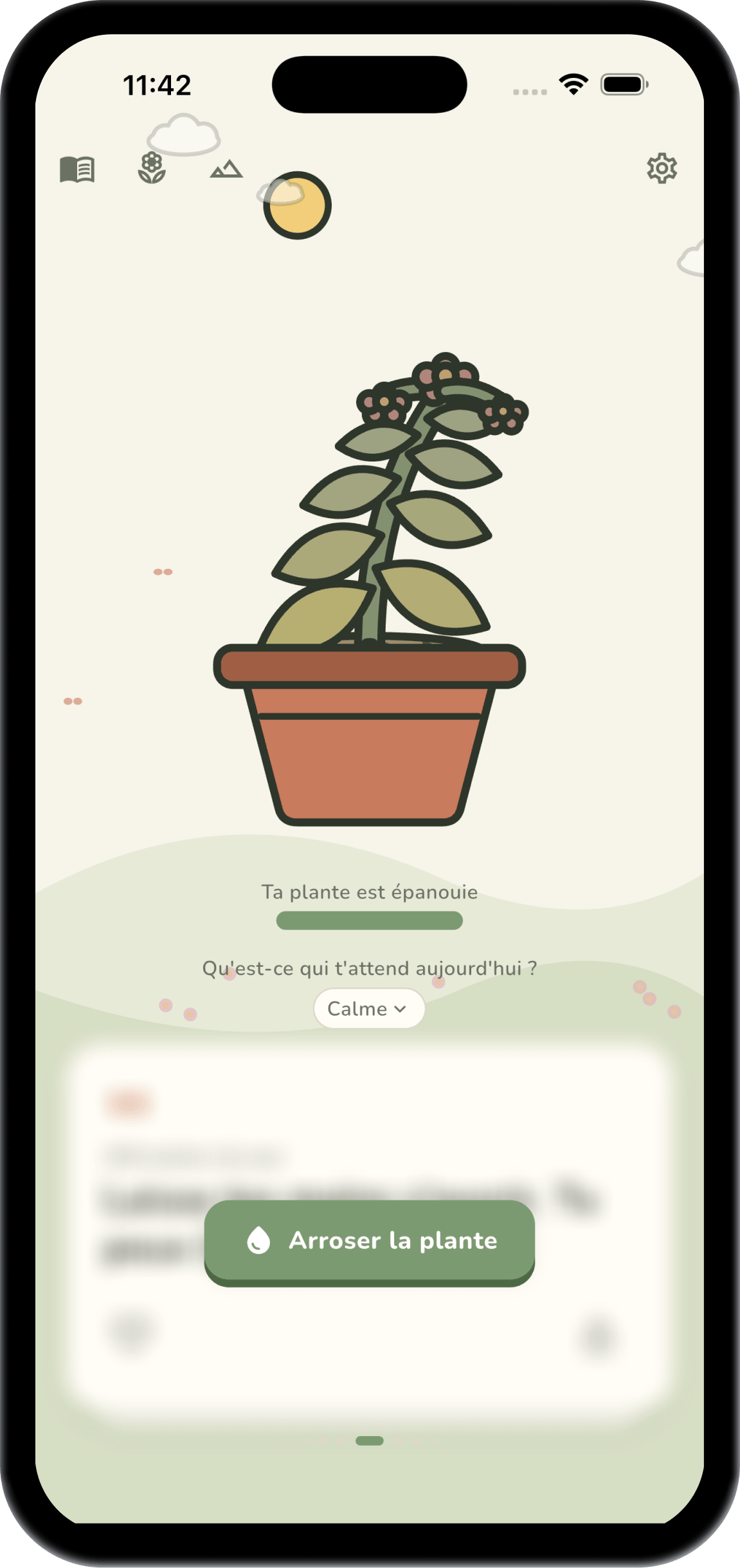 Une plante fanée dans Sedum, prête à repartir
